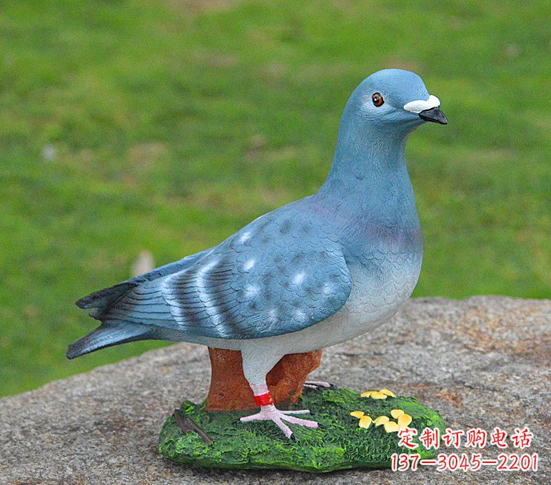 济南和平鸽传承着永恒的爱