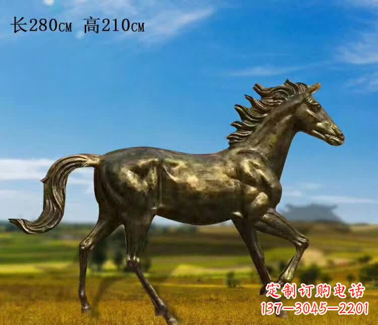 济南新马之精髓