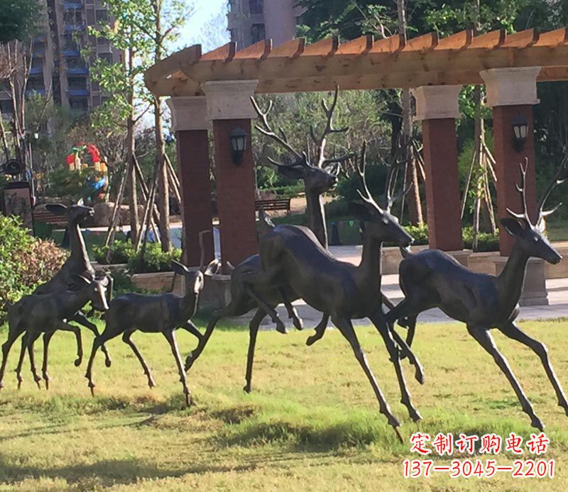 济南“梅花鹿传递自由与美好”