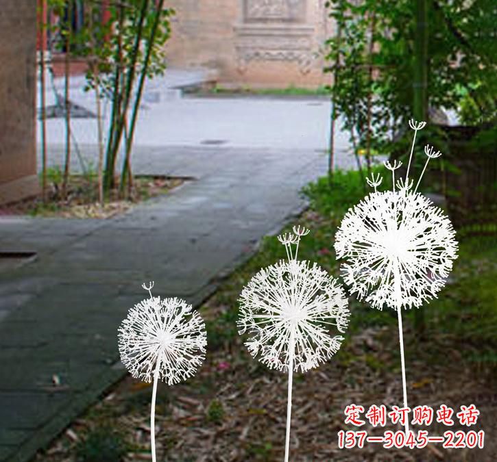 济南不锈钢蒲公英点亮城市之美