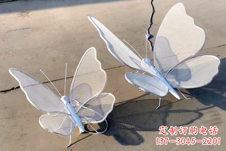 济南不锈钢钢丝网格蝴蝶雕塑——灯光下的灵动之美
