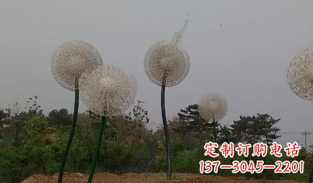 济南蒲公英的绚丽多彩