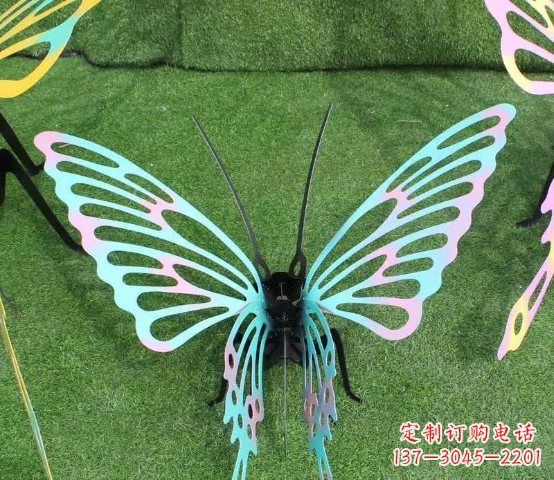 济南彩色不锈钢镂空蝴蝶雕塑精美又充满生机