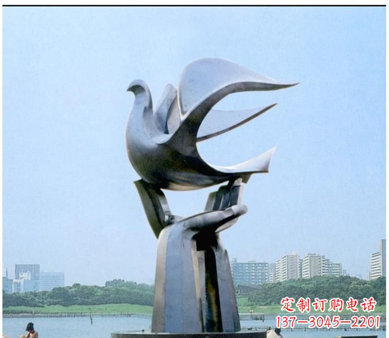 济南静谧之鸽,传递和平象征~