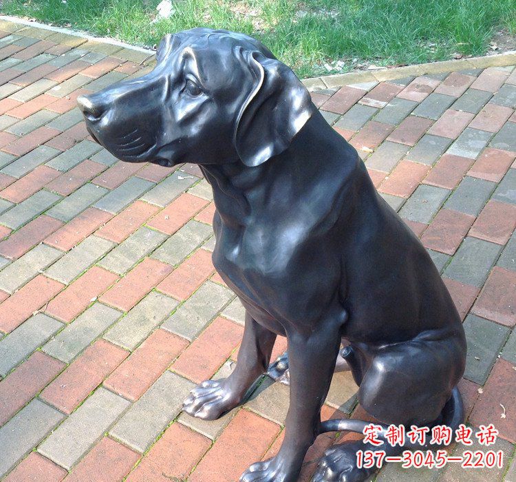 济南公园动物铜雕狗