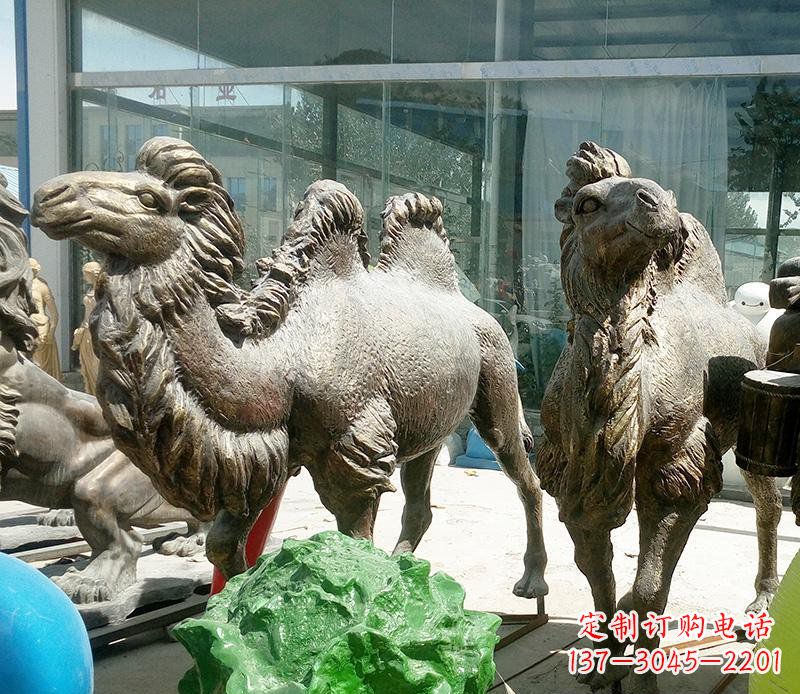 济南公园骆驼动物铜雕 (2)