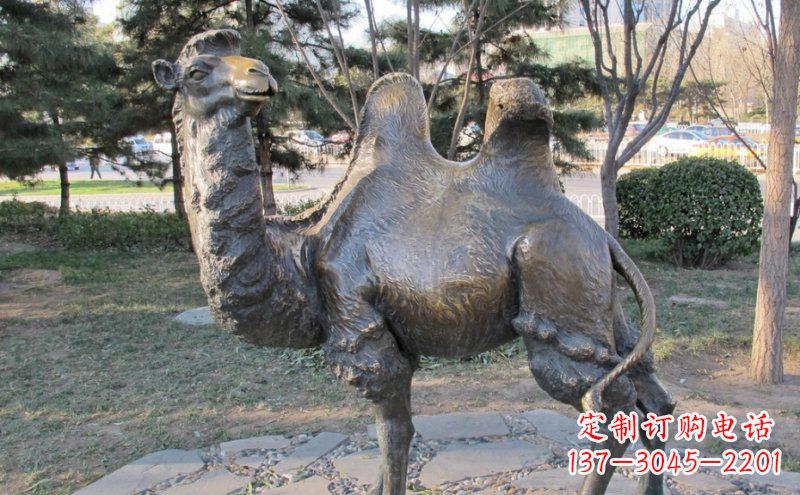 济南公园骆驼动物铜雕 (4)