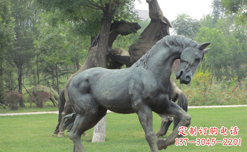 济南公园马动物景观铜雕 (2)
