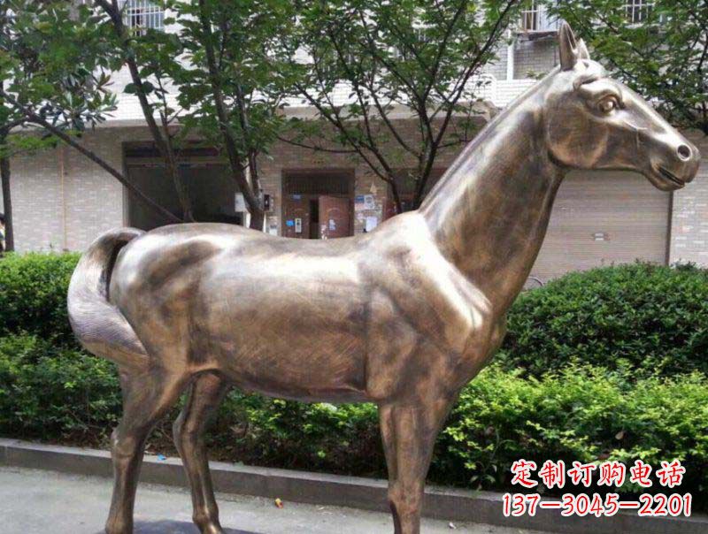 济南精美铜雕动物