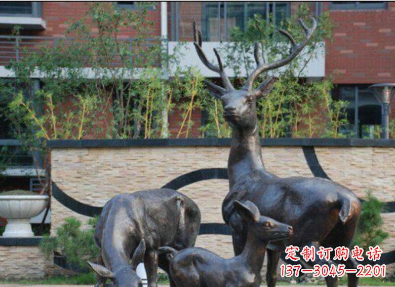 济南古雅优雅的梅花鹿铜雕