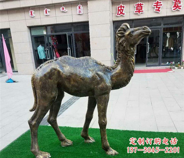 济南公园小骆驼动物铜雕 (2)