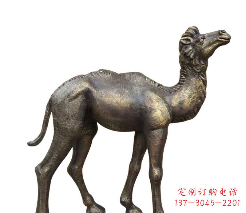 济南公园小骆驼铜雕