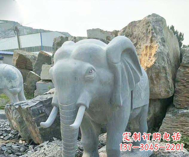 济南广场景观大理石大象石雕 (2)