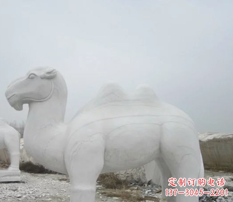 济南汉白玉骆驼石雕塑,装点家居空间