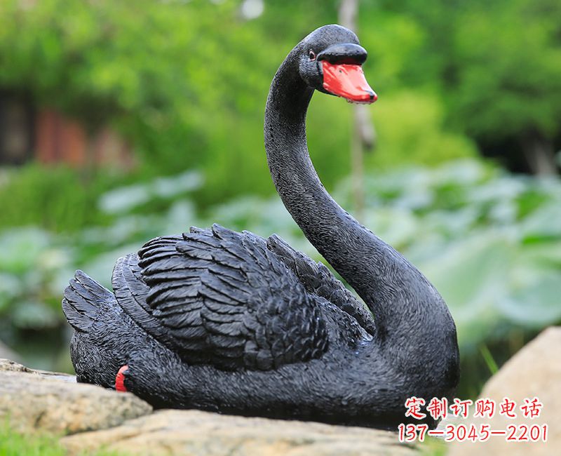 济南黑色天鹅卧姿雕塑-园林水景动物摆件