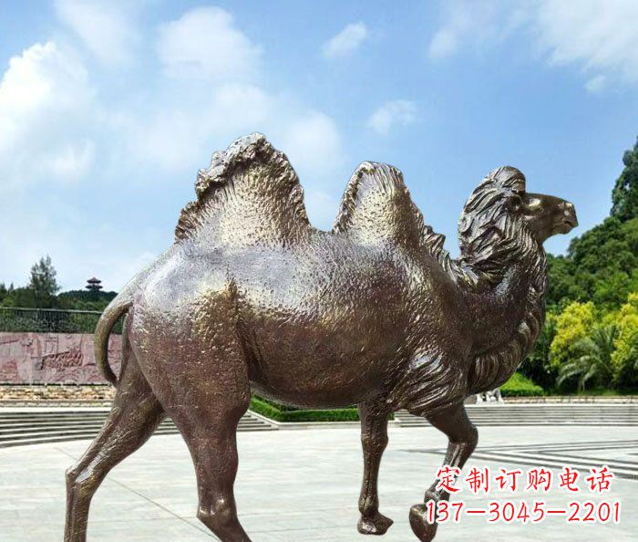 济南欣赏骆驼美感,购买骆驼铜雕