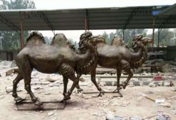 济南欣赏大自然的艺术之作——骆驼铜雕
