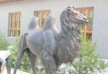 济南精美的骆驼铜雕，提升您的公园气质