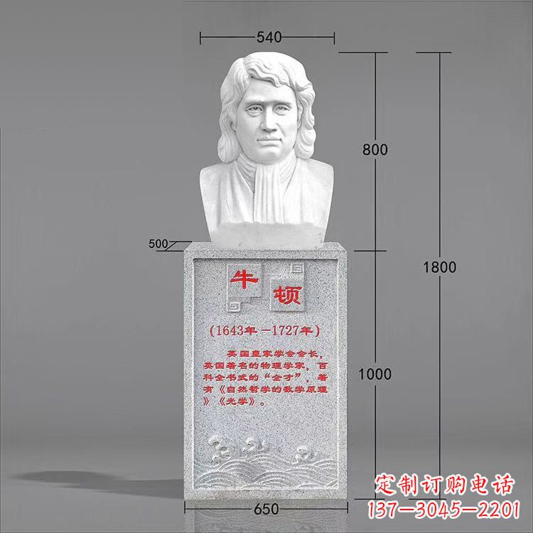 济南艺术精灵:牛顿汉白玉石头像雕塑