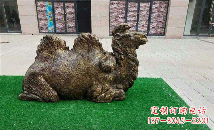 济南卧着的骆驼动物铜雕