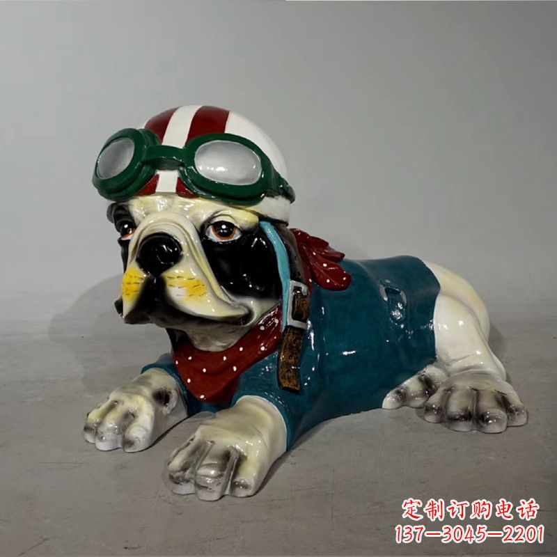 济南宇航员斗牛犬