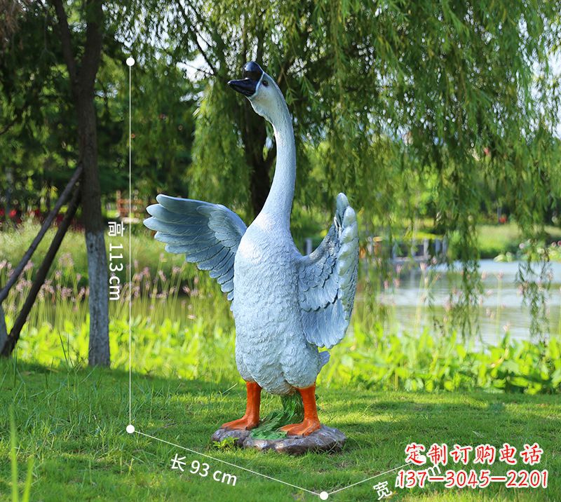 济南站立的灰色展翅天鹅