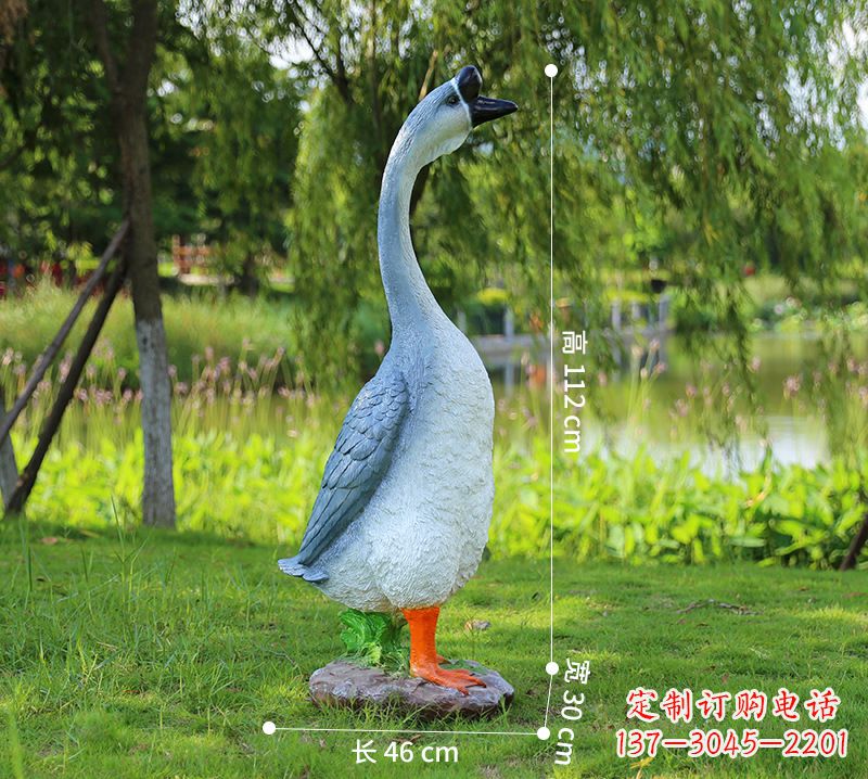 济南站立立脖灰色天鹅